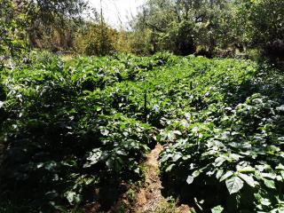 Nikitas Apartment - 3