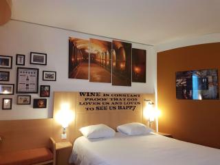 ibis Genève Petit Lancy - Ginevra - 5