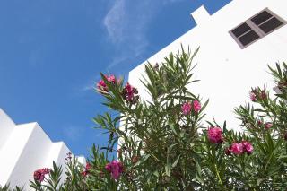 Apartamentos Pou Des Pujols - Es Pujols - 4