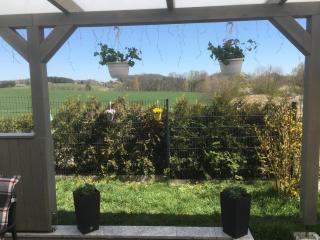 Ferien am Hofe - Hainewalde - 4