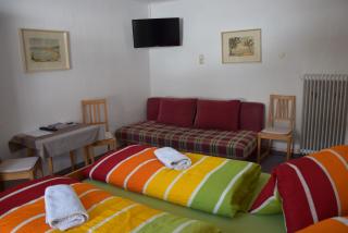 Gasthaus Pension Marienhof - Wald im Pinzgau - 8