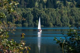 Auszeit Schluchsee - Fewo Tanja - Oase der Stille - - Schluchsee - 8