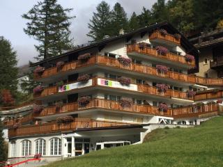 Artist Apartments & Hotel Garni - Zermatt - 6