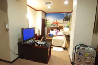 Golden Swallow Hotel - 9