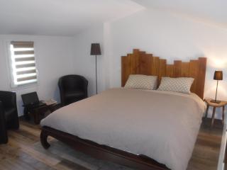 La Maisonnette de l'échappée verte. - Albi - 8