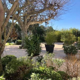 Les intérieurs d'Angèle - Pernes-les-Fontaines - 6