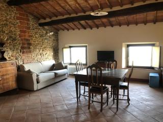 La Casaccia Guelfi - Castelnuovo Berardenga - 2