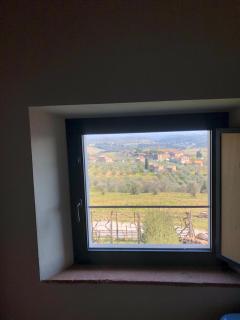 La Casaccia Guelfi - Castelnuovo Berardenga - 3