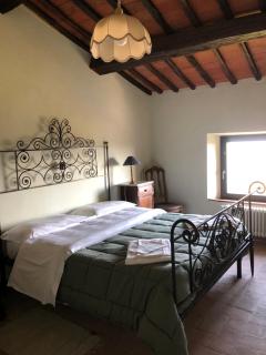 La Casaccia Guelfi - Castelnuovo Berardenga - 5