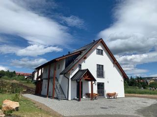 Apartment NESS - Boží Dar - 0