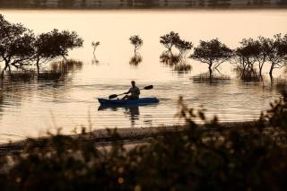 Anantara Sir Bani Yas Island Al Sahel Villas - Da‘sah - 1