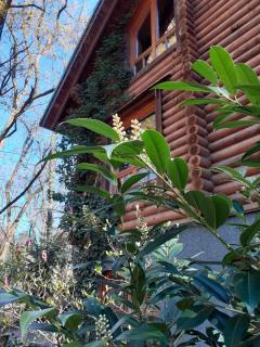 Holzhaus am See - Zernsdorf - 9
