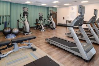 Holiday Inn Express & Suites Alachua - Gainesville Area by IHG - Alachua - 3