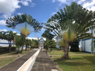 Studio Maracudja Résidence Manganao - 6