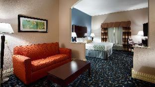 Best Western Plus Kalamazoo Suites - 7