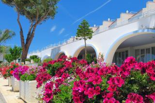 Hotel Ferretti - Diamante - 3