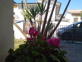 Florinda B&B Viareggio - Viareggio - 7