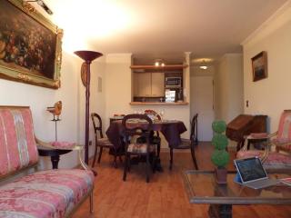 Costanera Center Apartment - Santiago - 7