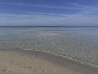 Residence Le Vele - Porto Cesareo - 6
