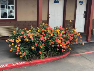 Haven Inn of Chico - Chico - 3
