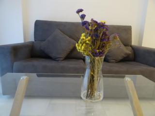 Domus Apartamentos Granada con parking gratuito en pleno centro - Granada - 3