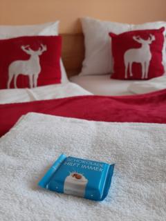 Hotel Landgasthof Frankenstern - 1