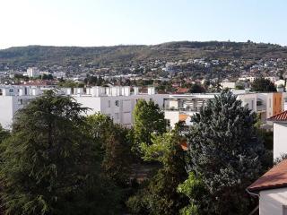 Charmant F2 avec vue, proche centre - Clermont-Ferrand - 8