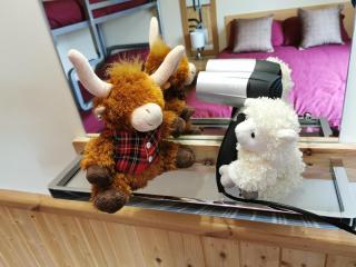 Morag's Lodge - Fort Augustus - 2