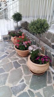 NN Spata Rooms & Suites near Athens airport - Spata - 3