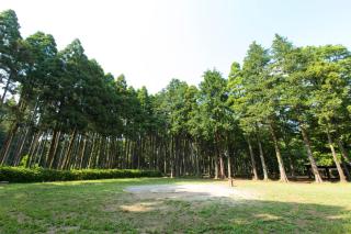 Showa Forest Village - Chiba - 2