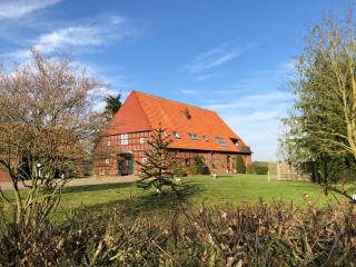 Apartment Hoyerhagen - Hoyerhagen - 8