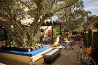 Bespoke Inn Scottsdale - Scottsdale - 9