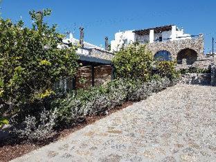 My Mykonos Hotel - Mykonos Stadt - 9
