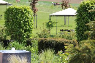 Landhotel Rügheim - Rügheim - 2