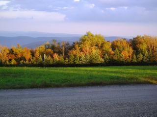 Cooper Hill Inn - 1