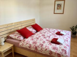 Apartmany a Ubytovani Mlynice Litovel - Litovel - 5