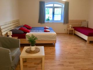 Apartmany a Ubytovani Mlynice Litovel - Litovel - 9
