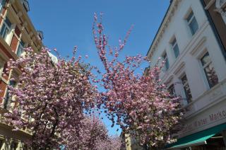 Hotel Aigner - Bonn - 4