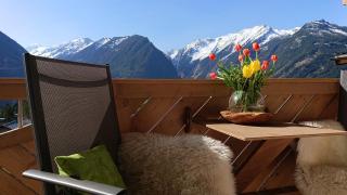 Apartment Prossegger - Neukirchen am Großvenediger - 9