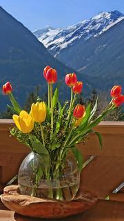 Apartment Prossegger - Neukirchen am Großvenediger - 8