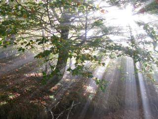 Gîte ABODI du Chalet Pedro - 5