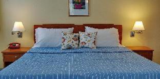 Palatia Village Hotel Apartments - Limenas Chersonisou - 7