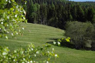 Landhaus Holzer - 7