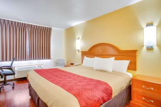 Econo Lodge Inn & Suites Albuquerque East I-40 Eubank Exit - 1