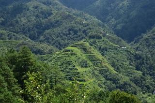 Hiwang Native House Inn & Viewdeck - Banaue - 1