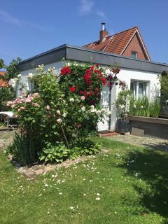 Held Ursel - Neustadt in Holstein - 9