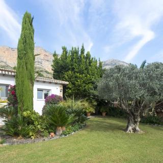 Villa Flores - Jávea - 8