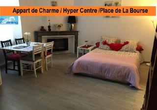 Appart de Charme / Grand Theatre - Bordeaux - 0