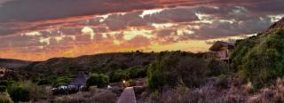HillsNek Safari Camp – Amakhala Game Reserve - Amakhala Game Reserve - 4