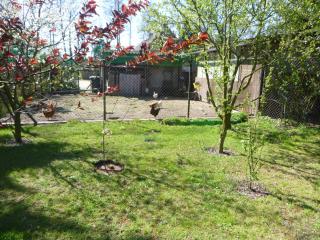 Maja - Guhrow - 3